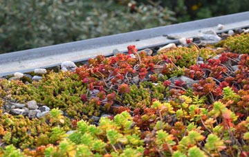 the cost of Wadshelf green roof installation